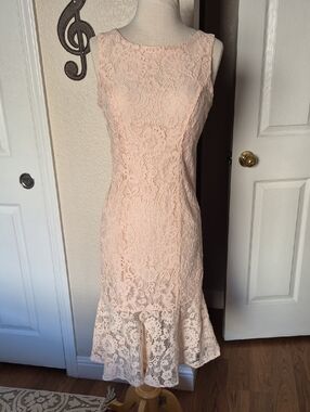 eva mendes for New York & Company Lace Midi Dress in Blush